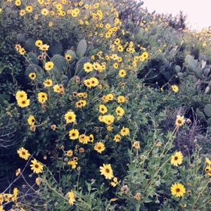 Meet your Posher, Isabel